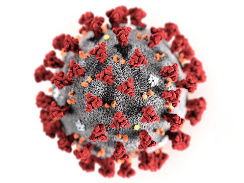 Koronavirus-e1583404243638